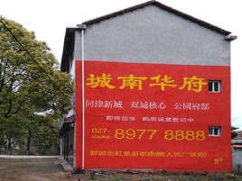 醴陵百分之90的人都不了解的农村墙体广告