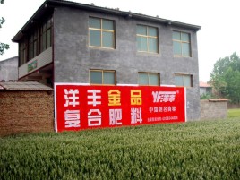 醴陵如何让墙体广告展现最大化效果