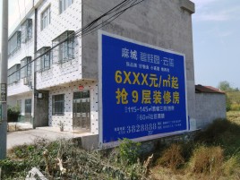 醴陵墙体广告质量分析