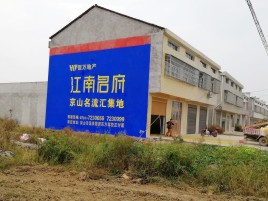 醴陵农村墙体广告在不同形式上面展现的不同特色