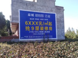 醴陵墙体广告的好处