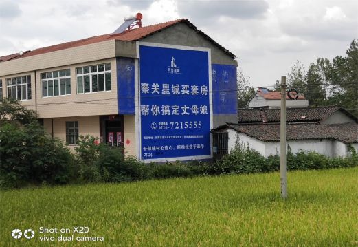 醴陵决定墙体广告价格的因素有哪些?