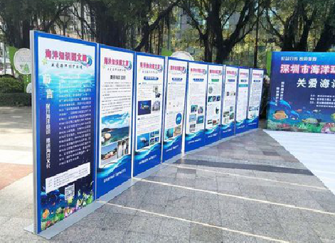 醴陵KT板的种类和知识。